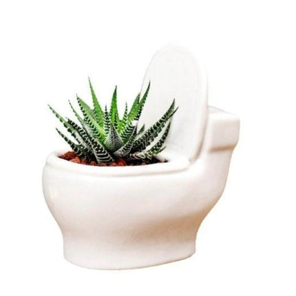 Blumentopf - Toilette